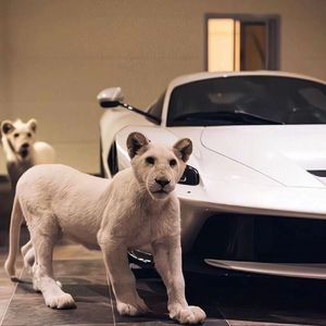 五月天福利导航
